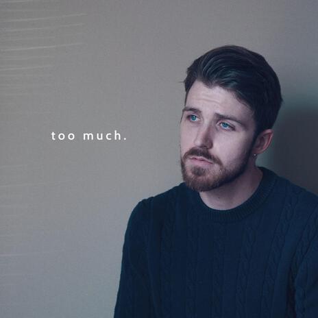 Too Much cover art