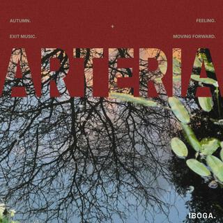 arteria