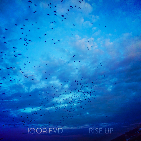 Rise Up cover art