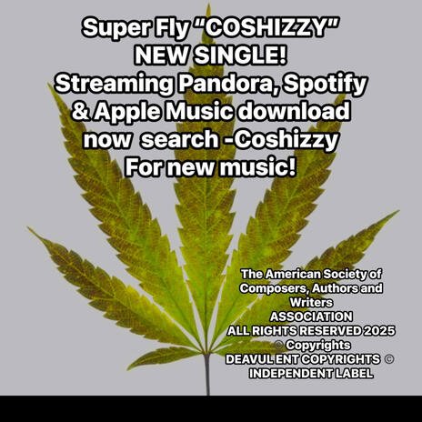 SUPER FLY COSHIZZY (Radio Edit) cover art