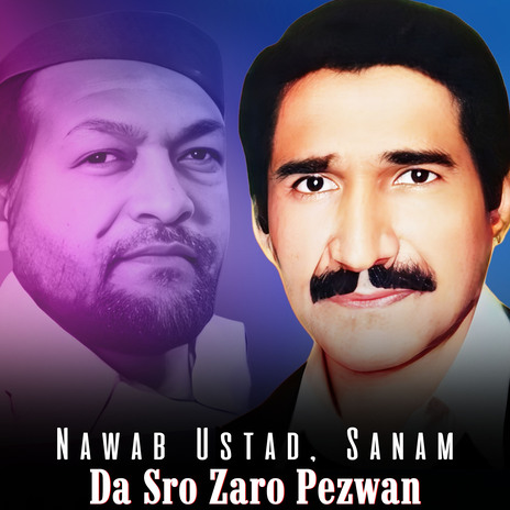Afghani Shal Zara ft. Sanam cover art