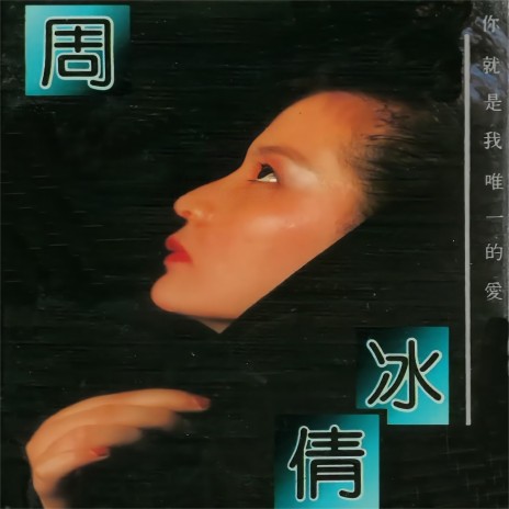 多少情多少泪