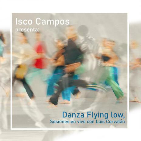 Danza Flying low 1 (En vivo) cover art