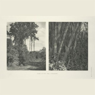 Live Inside Your Love cover art