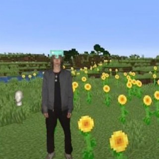 notideal cover art