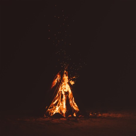 NIGHT LIFE cover art