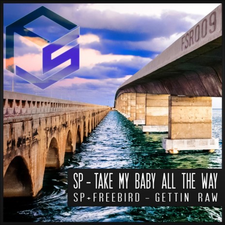 Take My Baby All The Way (Original Mix) cover art