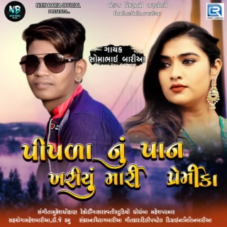 Pipla Nu Pan Khariyu Mari Premika cover art