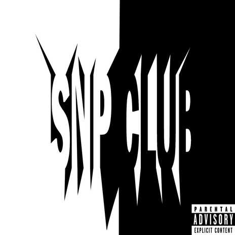 SNP FLOW ft. Dura!! & Xanny cover art