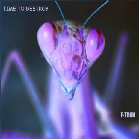 TIME TO DESTROY cover art
