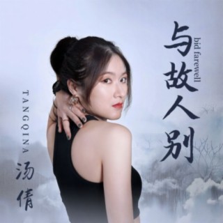 与故人别 cover art