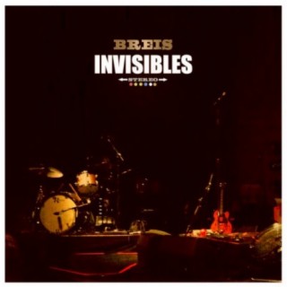 Invisibles