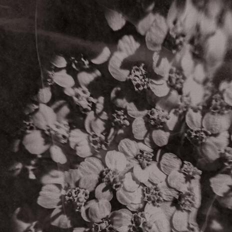New Sound Untitled ft. Loren Wheeler & Nicholas Howard Botka cover art