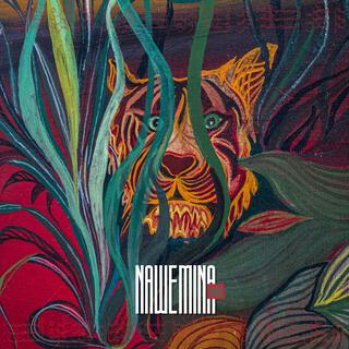 Nawe Mina cover art
