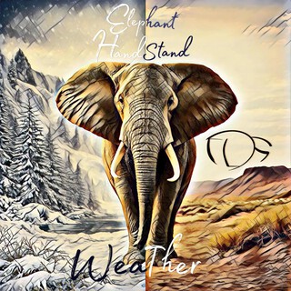 Weather