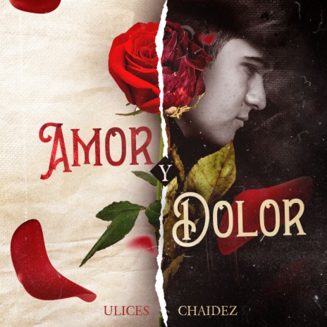 Me Gustas Mi Amor (En Vivo) cover art
