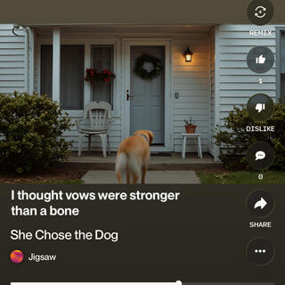 She Chose The Dog cover art