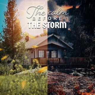 The Calm Before the Storm