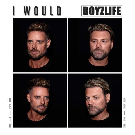 I Would cover art