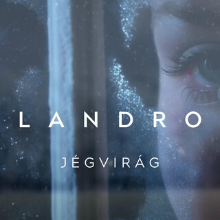 JÉGVIRÁG (Radio Edit) cover art