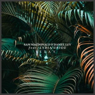 Stay ft. Daniel Lev & Lydia Grigg cover art