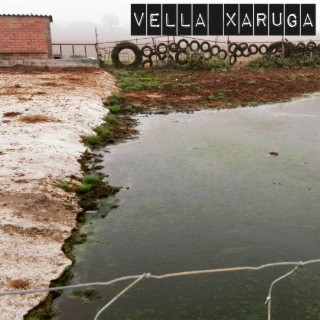 Vella xaruga (inèdit)