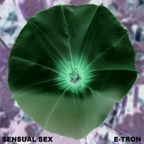 SENSUAL SEX cover art