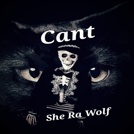 Cant cover art