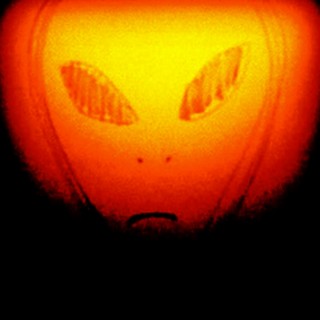 51