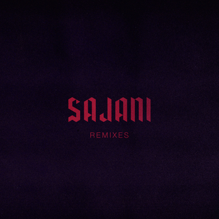 Sajani (Tone Troy Remix) ft. Ben Parag cover art