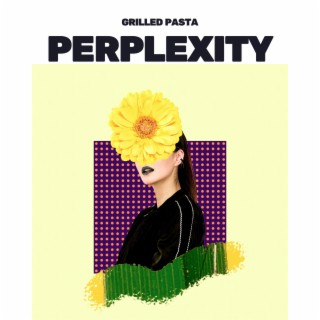 Perplexity