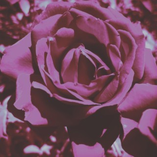 Rejuvenation (Slowed x2 + Reverb) cover art