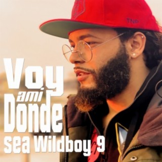 Voy a Mi Dónde Sea cover art