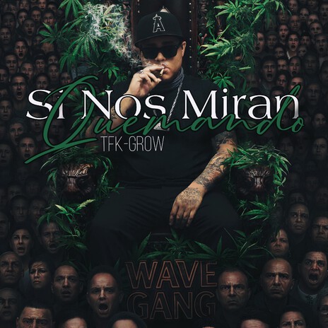 Si Nos Miran Quemando cover art