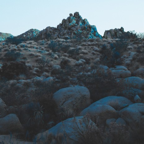 Let Go cover art