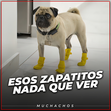 Esos Zapatitos Nada Que Ver cover art