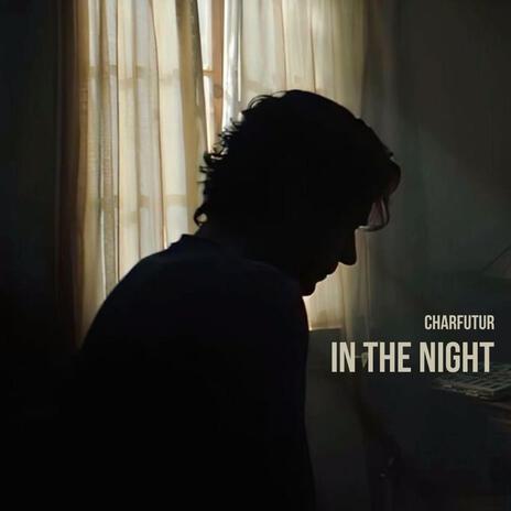In The Night cover art
