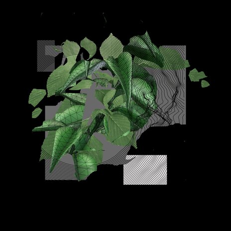Hydrocultur cover art
