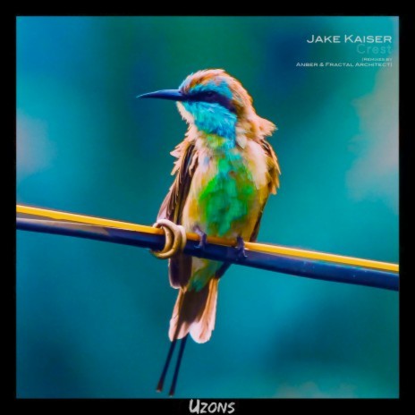 Crest (Extended Mix) cover art