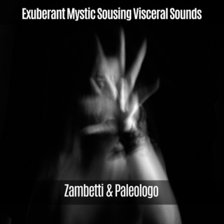 Exuberant Mystic Sousing Visceral Sounds