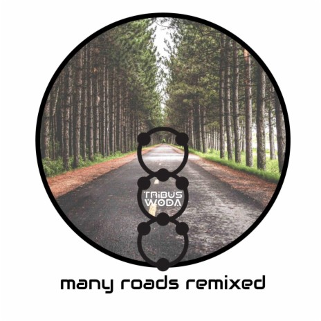 Many Roads Lead Back Home (digital audio funk theory's Mellow Roads Remix) ft. digital audio funk theory cover art
