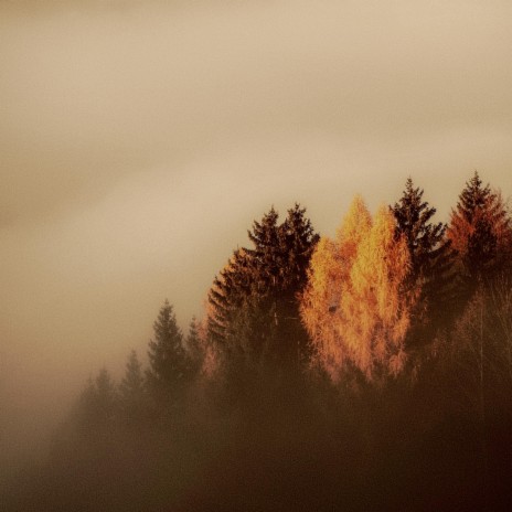 A season tinged with sorrow cover art