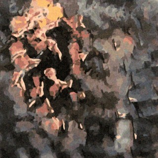 immersion cover art