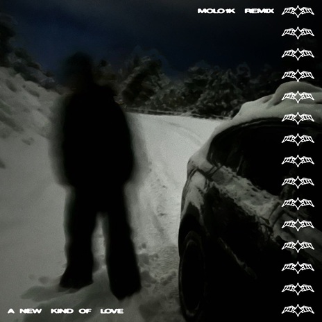 a new kind of love (Molo1k Remix) cover art