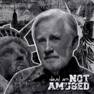Not Amused cover art