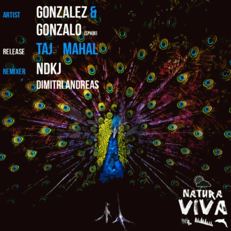 Taj Mahal (NDKj Heatflow's Remix) ft. Gonzalo (Spain)