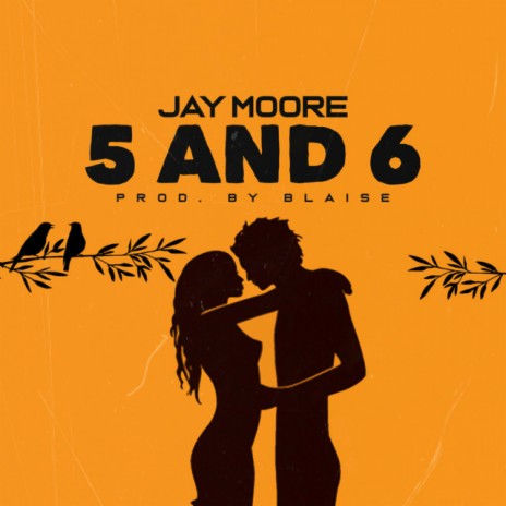 5 and 6 cover art