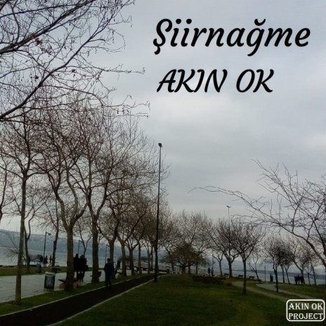 Üzülürsün cover art