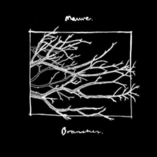 Branches