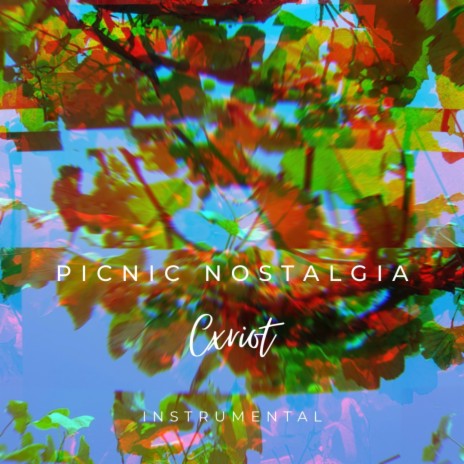 Picnic Nostalgia (Instrumental) cover art